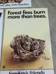 Vintage Smokey Bear Forest Fire Prevention Poster Sign Lot 5 Only You 70s 80s