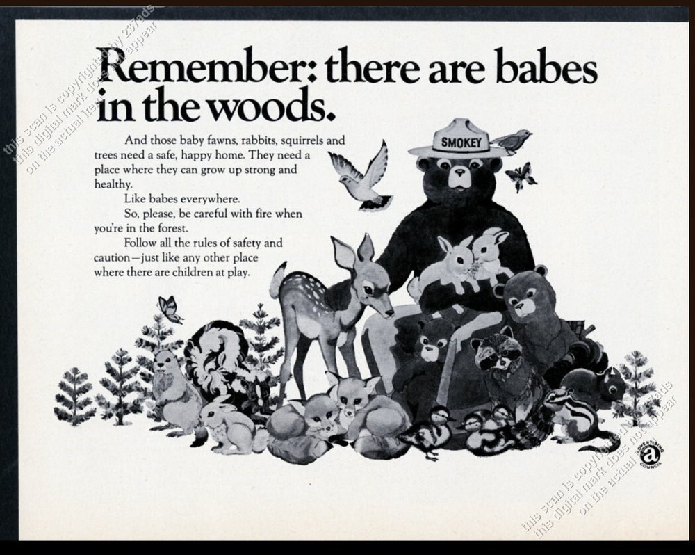 1974 Smokey Bear & baby animals art Prevent Forest Fires vintage print ad