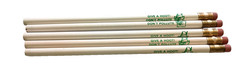 5 Vtg Woodsy The Owl Give A Hoot Don’t Pollute Pencils NOS