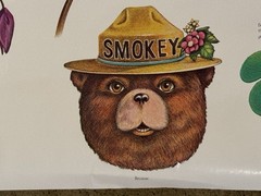 Vintage 1977 Smokey Bear «Why be careful with fire in the forest?