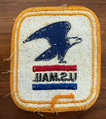 Vintage US Mail Eagle Embroidered Patch Postal Americana Retro