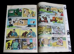 THE TRUE STORY OF SMOKEY THE BEAR COMIC BOOKLET BROCHURE 1969 VINTAGE