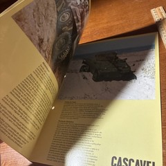 VTG Engesa EE-9 Cascavel Portuguese Brazilian Military Vehicle Tank Brochure