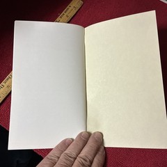 Political Ad Jeffrey Picolla Pennsylvania Personal Estate Inventory Booklet